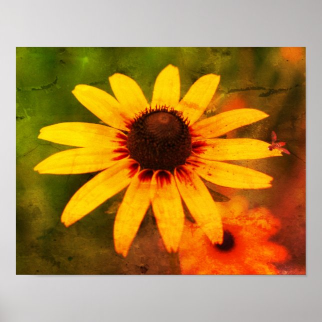 Bee On Black Eyed Susan Flower Distressed Art Poster (Front)