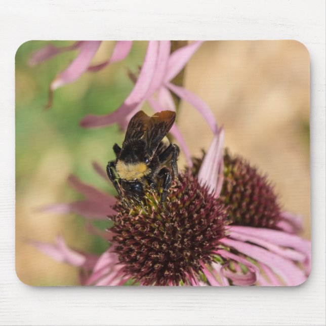 Bee On Black Eyed Susan Pano Mouse Mat (Front)