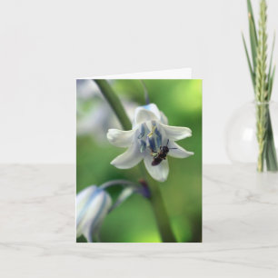 Bee On Bluebell Flower Photography Note Card