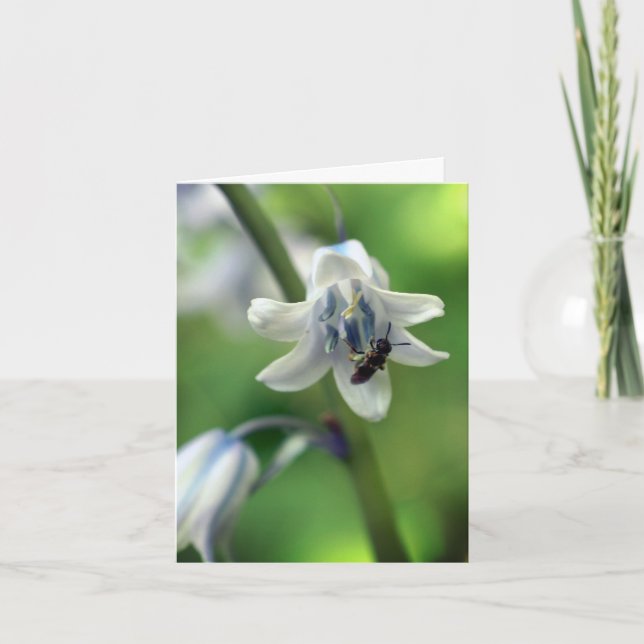 Bee On Bluebell Flower Photography  Note Card (Front)