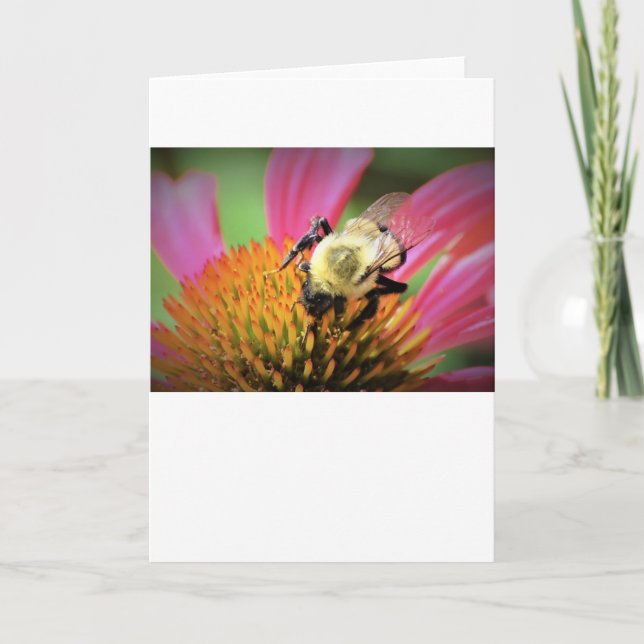 Bee on Coneflower, card (Front)