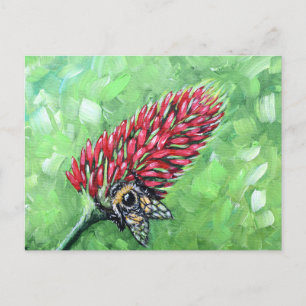 Bee on Crimson Clover Painting Postcard