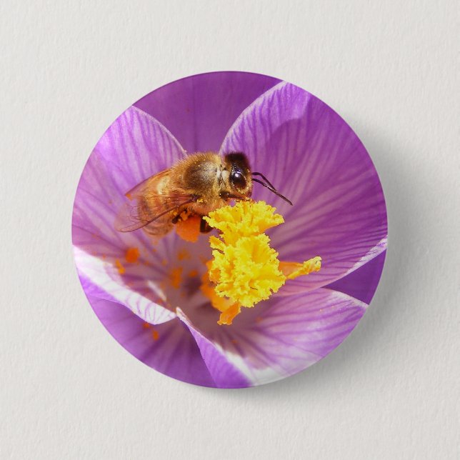 Bee on Crocus ~ button (Front)