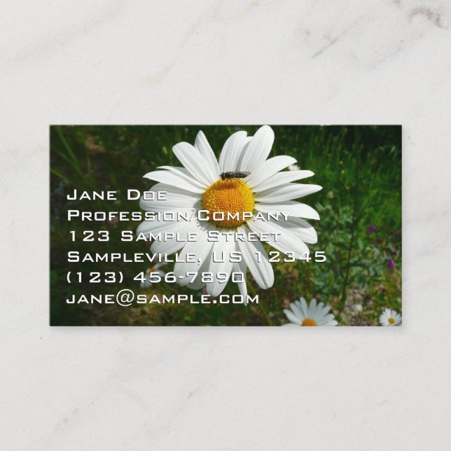 Bee on Daisy Alaskan Summer Nature Photo Business Card (Front)