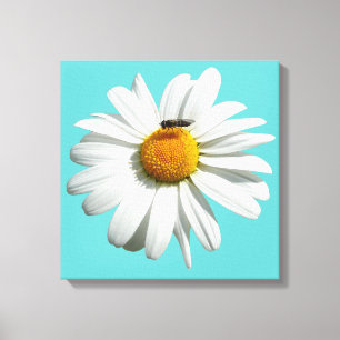 Bee on Daisy Alaskan Summer Nature Photo Canvas Print