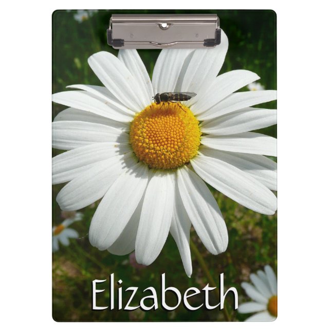 Bee on Daisy Alaskan Summer Nature Photo Clipboard (Front)