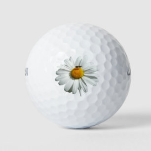 Bee on Daisy Alaskan Summer Nature Photo Golf Balls