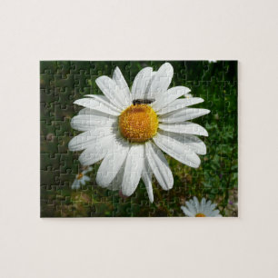Bee on Daisy Alaskan Summer Nature Photo Jigsaw Puzzle