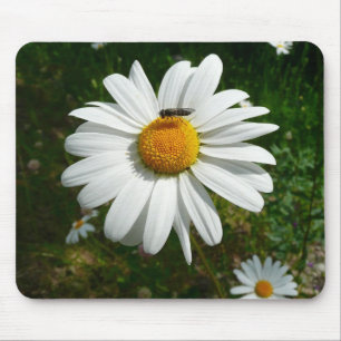 Bee on Daisy Alaskan Summer Nature Photo Mouse Mat