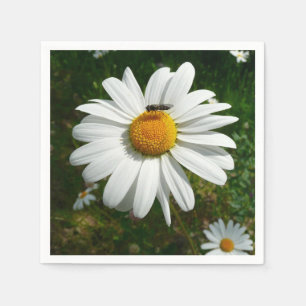 Bee on Daisy Alaskan Summer Nature Photo Napkin
