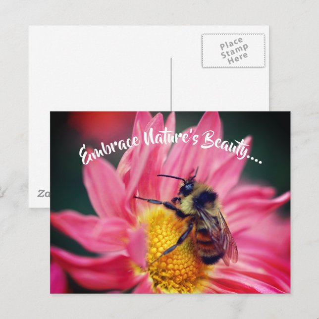 Bee On Daisy Embrace Nature Inspirational  Postcard (Front/Back)