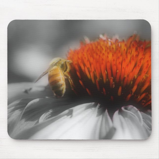 Bee On Flower Close Up Black White Mousepad (Front)