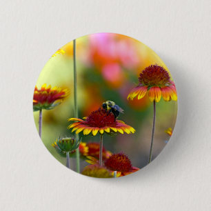 Bee on Gaillardia 6 Cm Round Badge