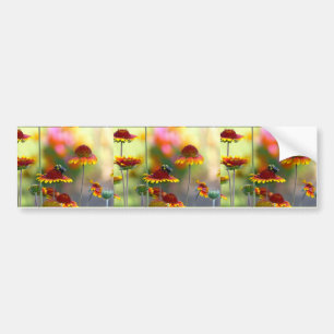 Bee on Gaillardia Bumper Sticker