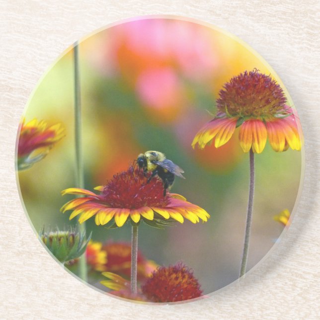 Bee on Gaillardia Coaster (Front)