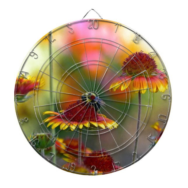 Bee on Gaillardia Dartboard (Front)