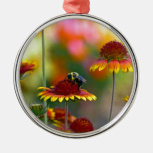 Bee on Gaillardia Metal Tree Decoration