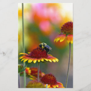 Bee on Gaillardia Stationery