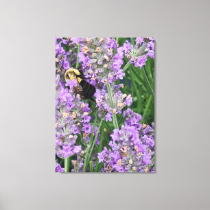 Bee on Lavender Flower Canvas Print