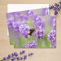 Bee On Lavender Thinking Of You Postcard