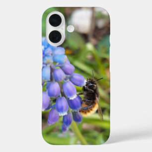 Bee on Muscari Armeniacum , Grape Hyacinth iPhone 16 Case