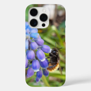 Bee on Muscari Armeniacum , Grape Hyacinth iPhone 16 Pro Case