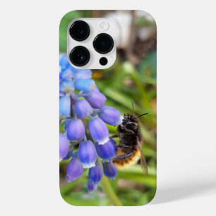 Bee on Muscari Armeniacum , Grape Hyacinth Case-Mate iPhone 14 Pro Case