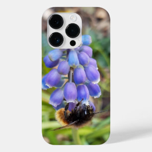 Bee on Muscari Armeniacum , Grape Hyacinth Case-Mate iPhone 14 Pro Case