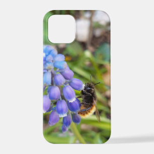 Bee on Muscari Armeniacum , Grape Hyacinth iPhone 12 Pro Case