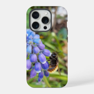 Bee on Muscari Armeniacum , Grape Hyacinth iPhone 15 Pro Case