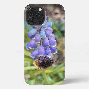 Bee on Muscari Armeniacum , Grape Hyacinth iPhone 13 Pro Max Case