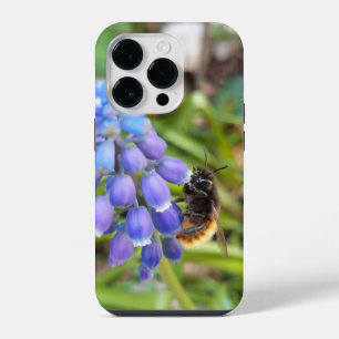 Bee on Muscari Armeniacum , Grape Hyacinth iPhone 14 Pro Case