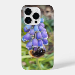 Bee on Muscari Armeniacum , Grape Hyacinth iPhone 14 Pro Case