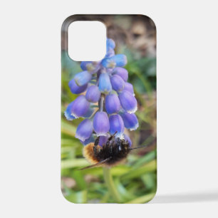 Bee on Muscari Armeniacum , Grape Hyacinth iPhone 12 Pro Case