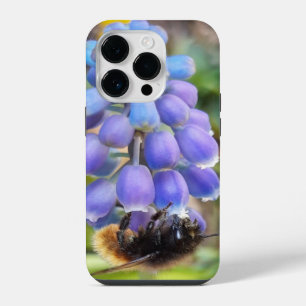 Bee on Muscari Armeniacum , Grape Hyacinth iPhone 14 Pro Case