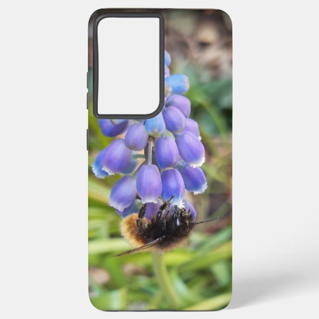 Bee on Muscari Armeniacum , Grape Hyacinth Samsung Galaxy S21 Ultra Case (Back)