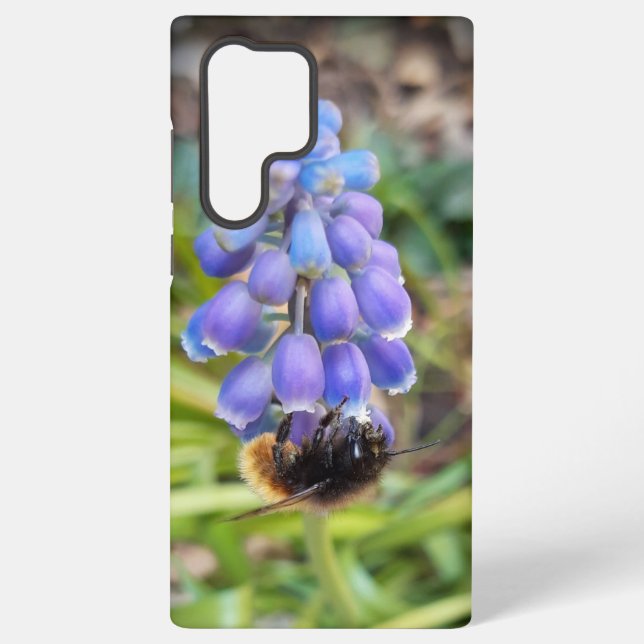 Bee on Muscari Armeniacum , Grape Hyacinth Samsung Galaxy S22 Ultra Case (Back)