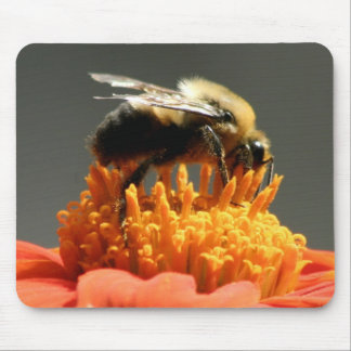 Bee on Orange Flower Mouse Mat