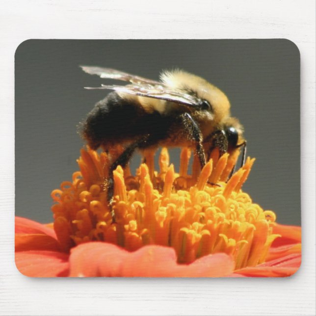 Bee on Orange Flower Mouse Mat (Front)