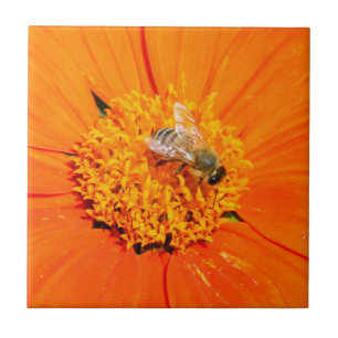 bee on orange tile