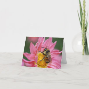 Bee On Pink Daisy Flower Photography Note Card