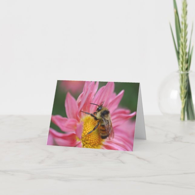 Bee On Pink Daisy Flower Photography Note Card (Front)