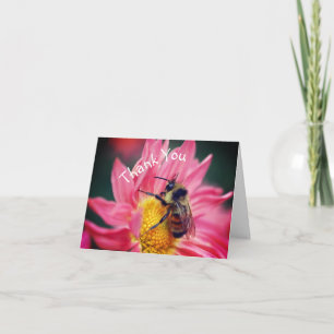 Bee On Pink Daisy Flower Thank You Card