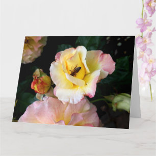  Bee on Pink Yellow Roses Flowers Card