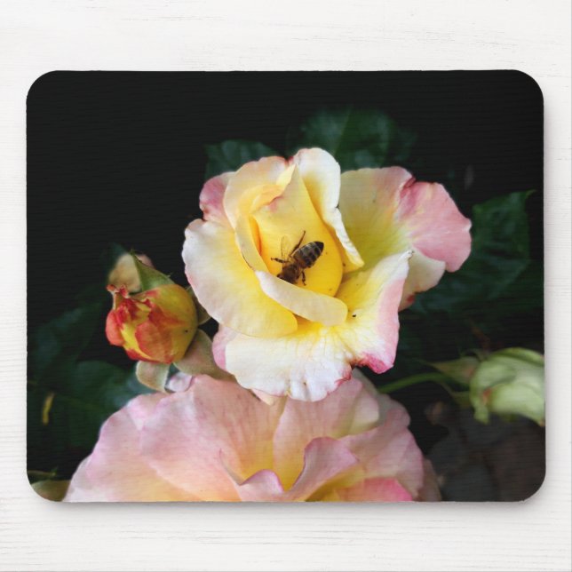  Bee on Pink Yellow Roses Flowers  Mouse Mat (Front)