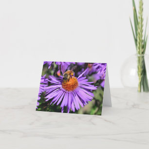 Bee On Purple Aster Flower Photography  Note Card