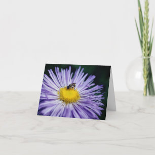 Bee On Purple Daisy Flower Photography  Note Card