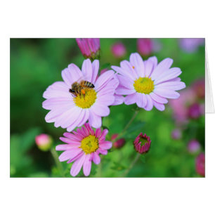 Bee On Purple Flower Blank Inside Photo Note Card