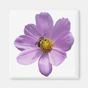 Bee on purple flower magnet
