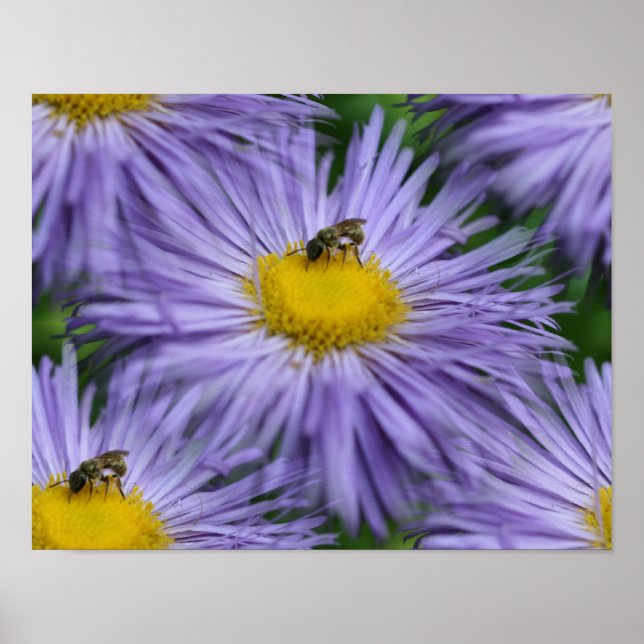 Bee On Purple Flowers Nature Poster (Front)